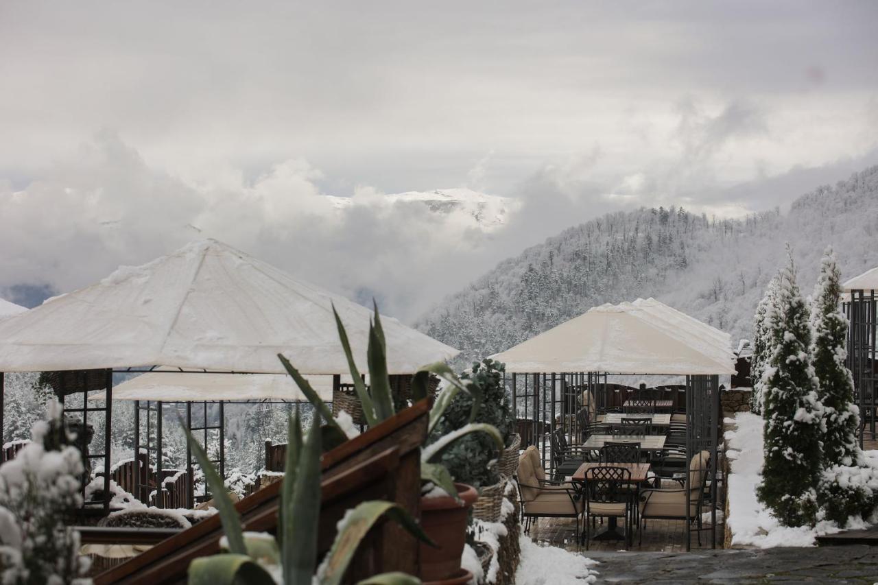 Alpine Castle Hotel Dilidżan Zewnętrze zdjęcie